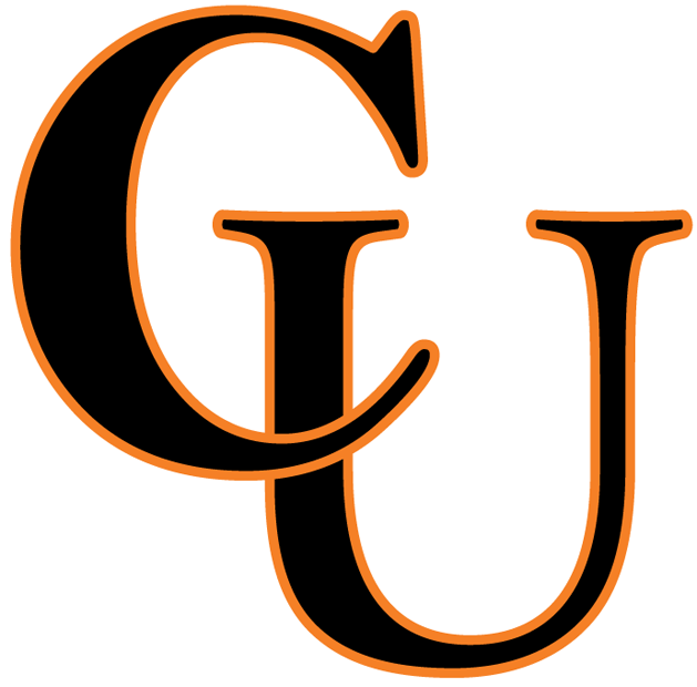 Campbell Fighting Camels 2008-Pres Wordmark Logo v2 diy iron on heat transfer
